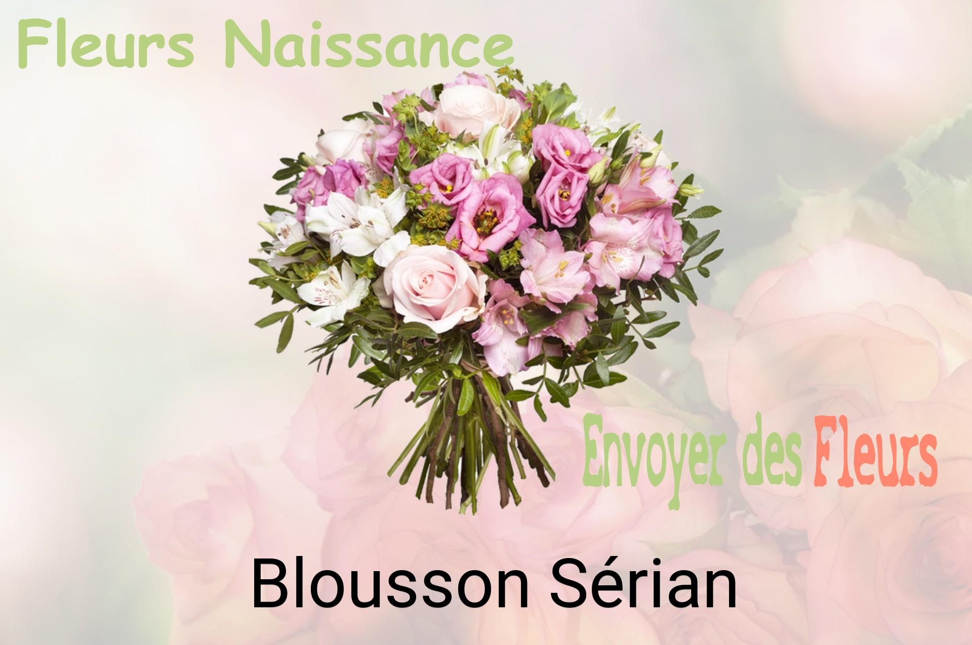Bouquet de fleurs de naissance livré à Blousson-Sérian