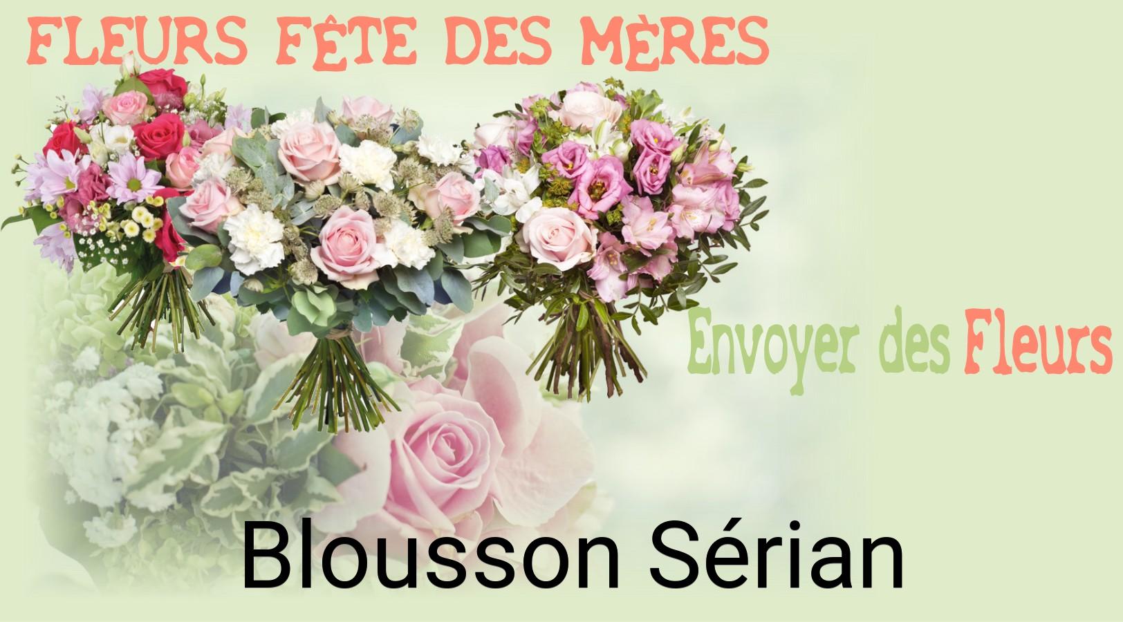 Bouquet de Fête des Mères livré à Blousson-Sérian